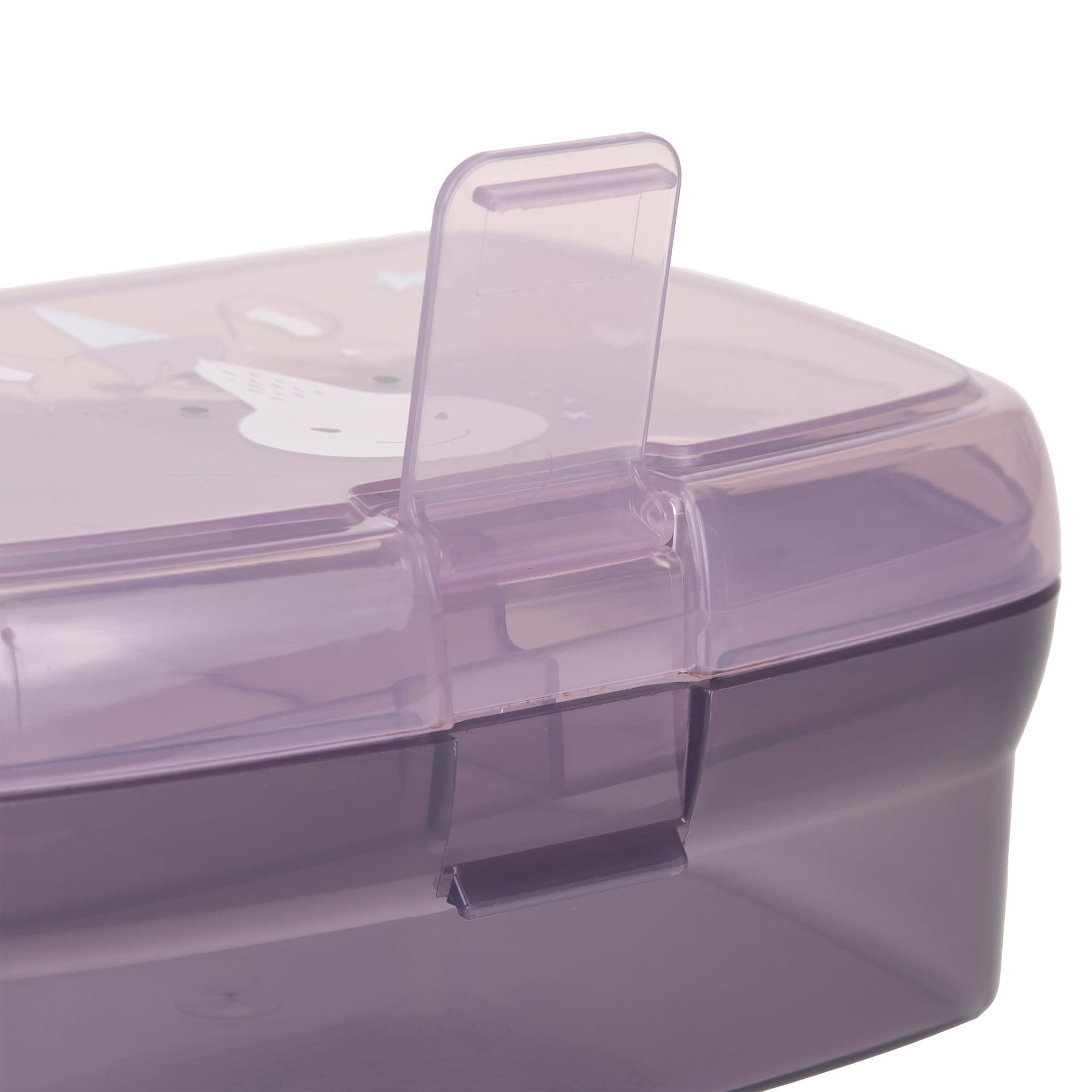 Schmuckdose, Aufbewahrungsbox, Transparente Box, lila, Kunststoff