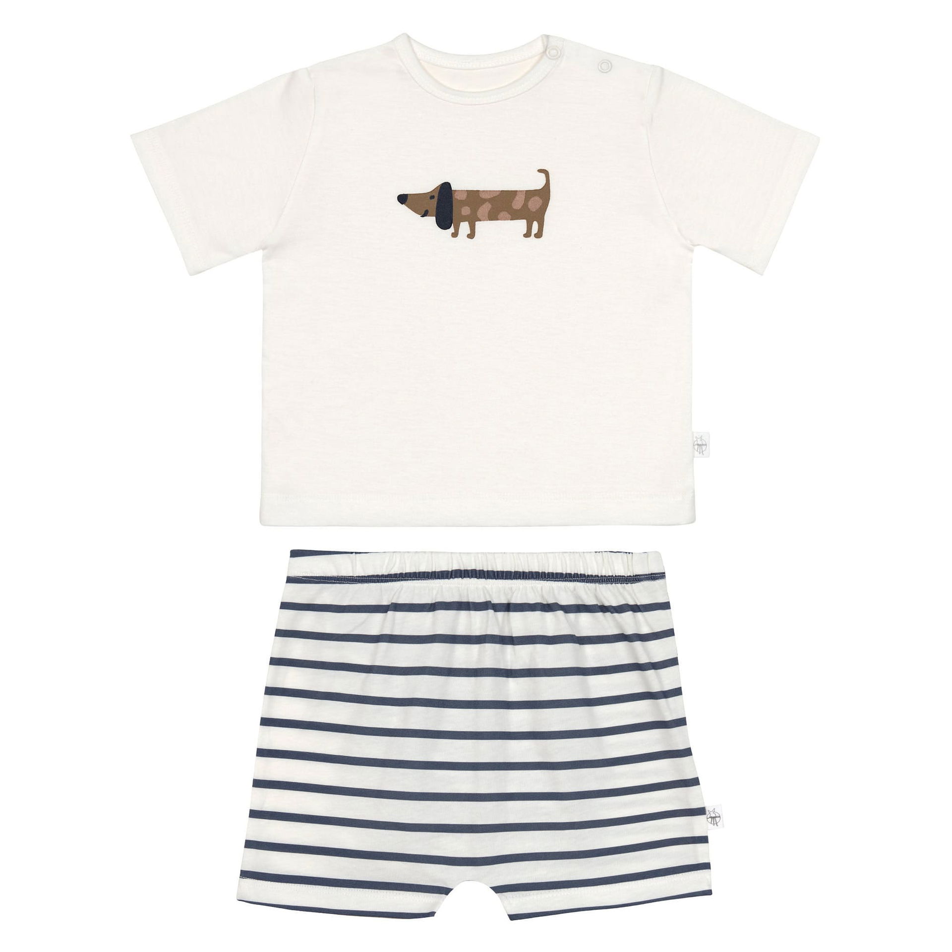 Sausage Dog Shorts And T Shirt Pjs Boys Dachshund Pyjama Picia
