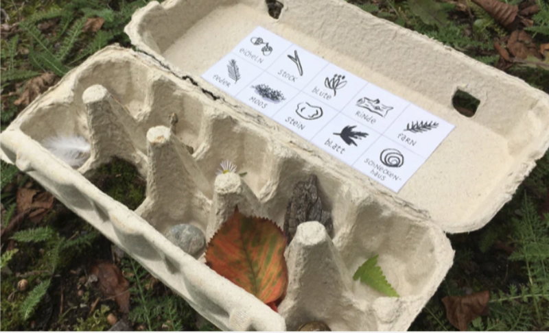 Kartonbox, Naturmaterial, Herbstblätter, Vordruckkarten, Samenkatalog