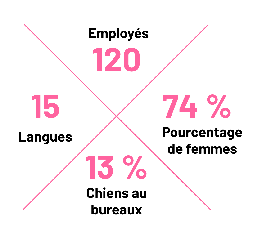 zahlen, prozent, pink, grafik, kreativ