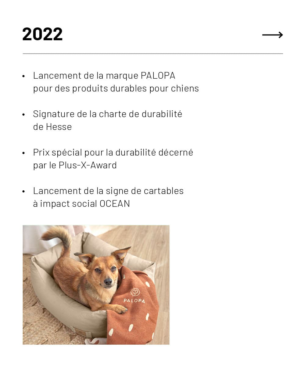 Tier, Hund, Säugetier, Haustier
