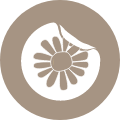 School_Einzigartig_Icon