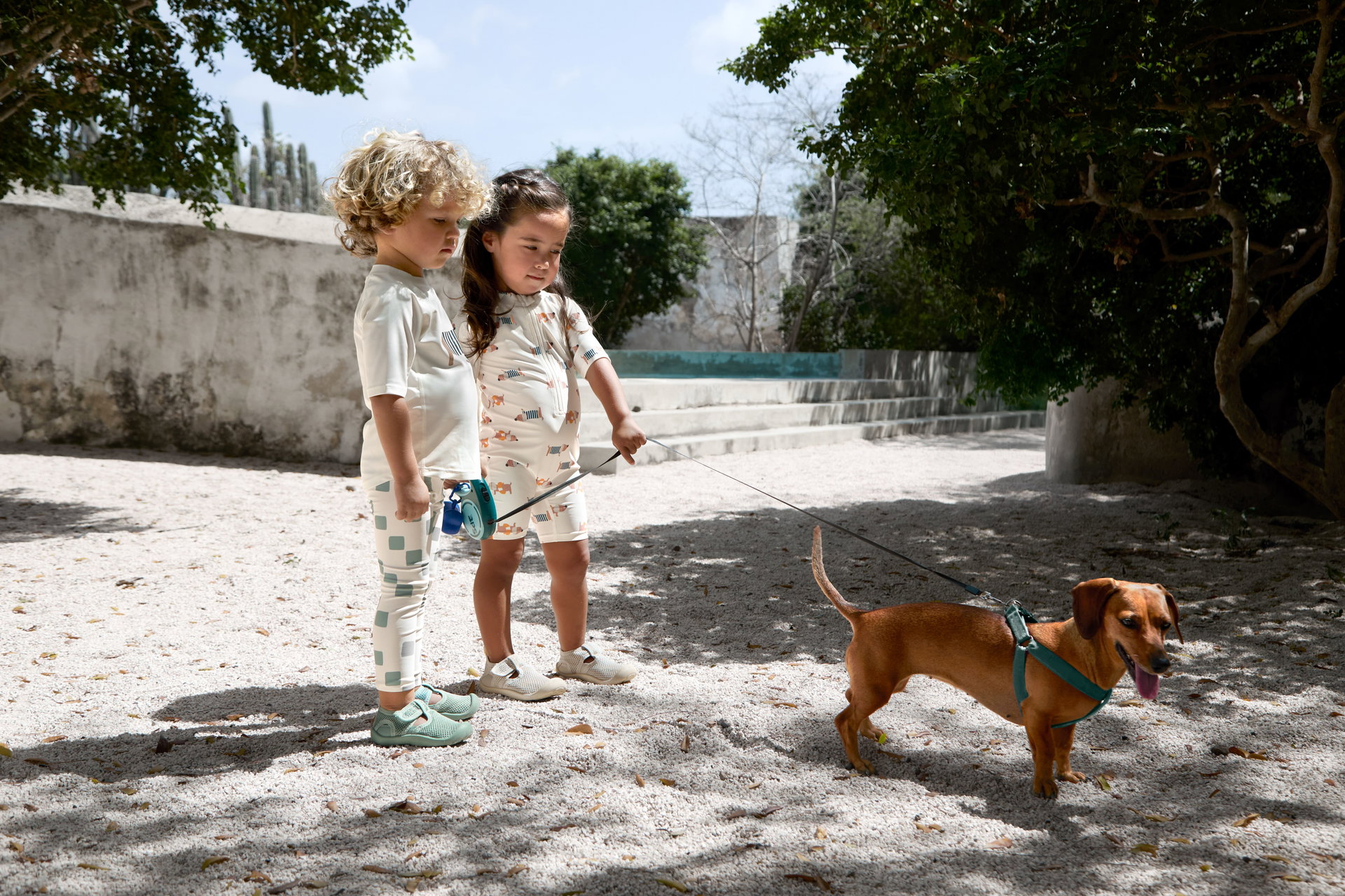 Person, Kurze Hose, Hund, Kind, Mädchen