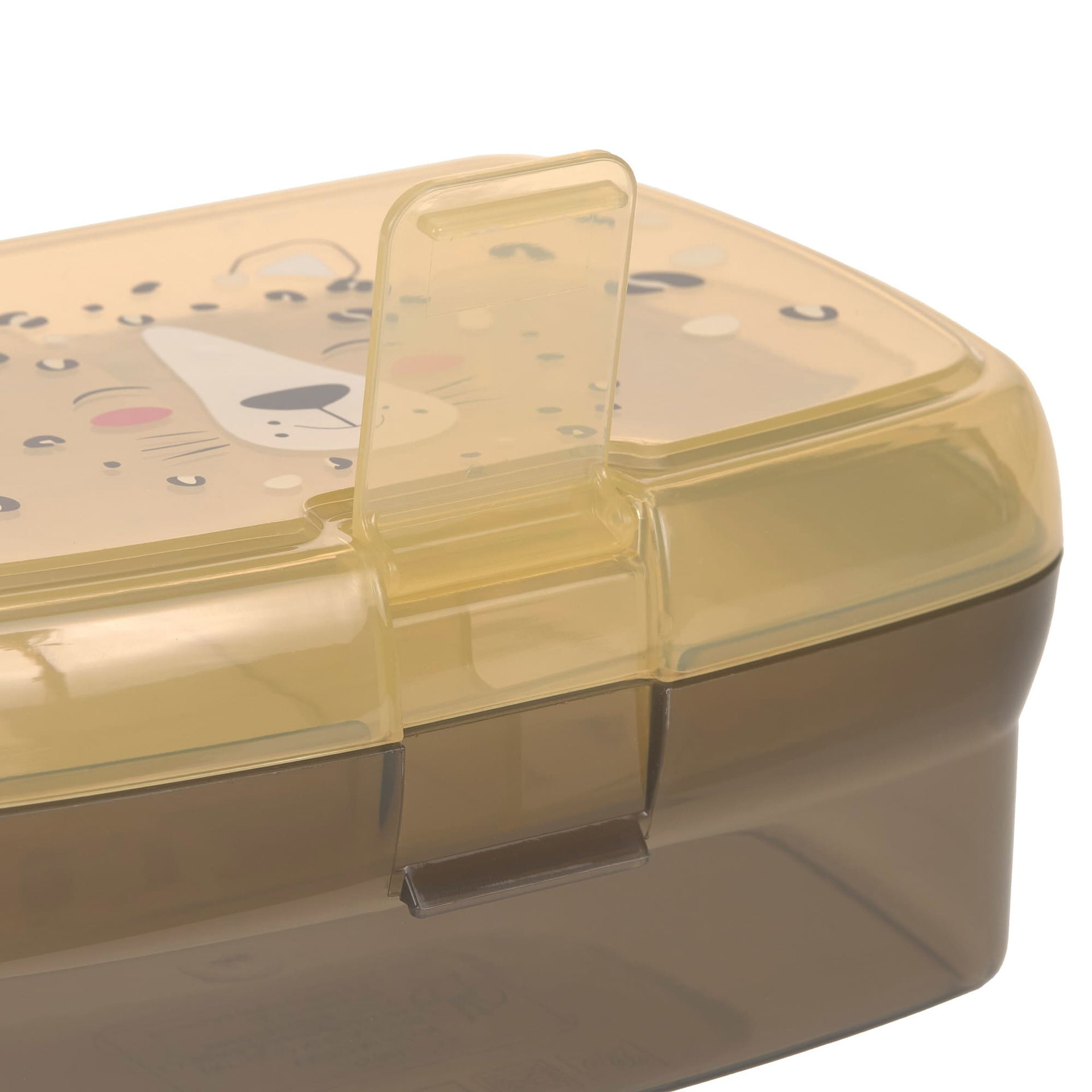 Lunchbox, Trinkbox, Kunststoff, Transparent, Klappenverschluss