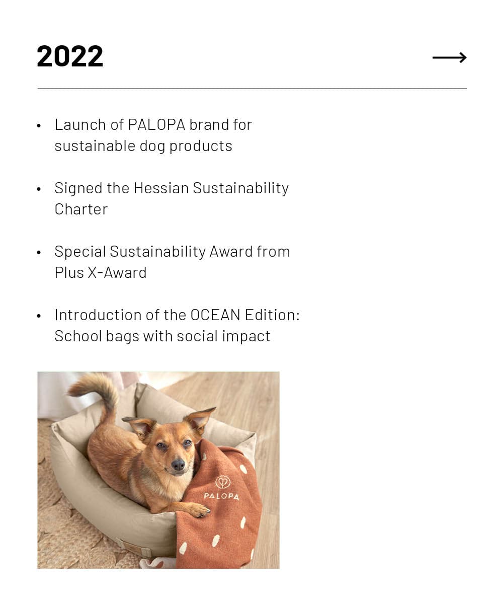 Tier, Hund, Säugetier, Haustier