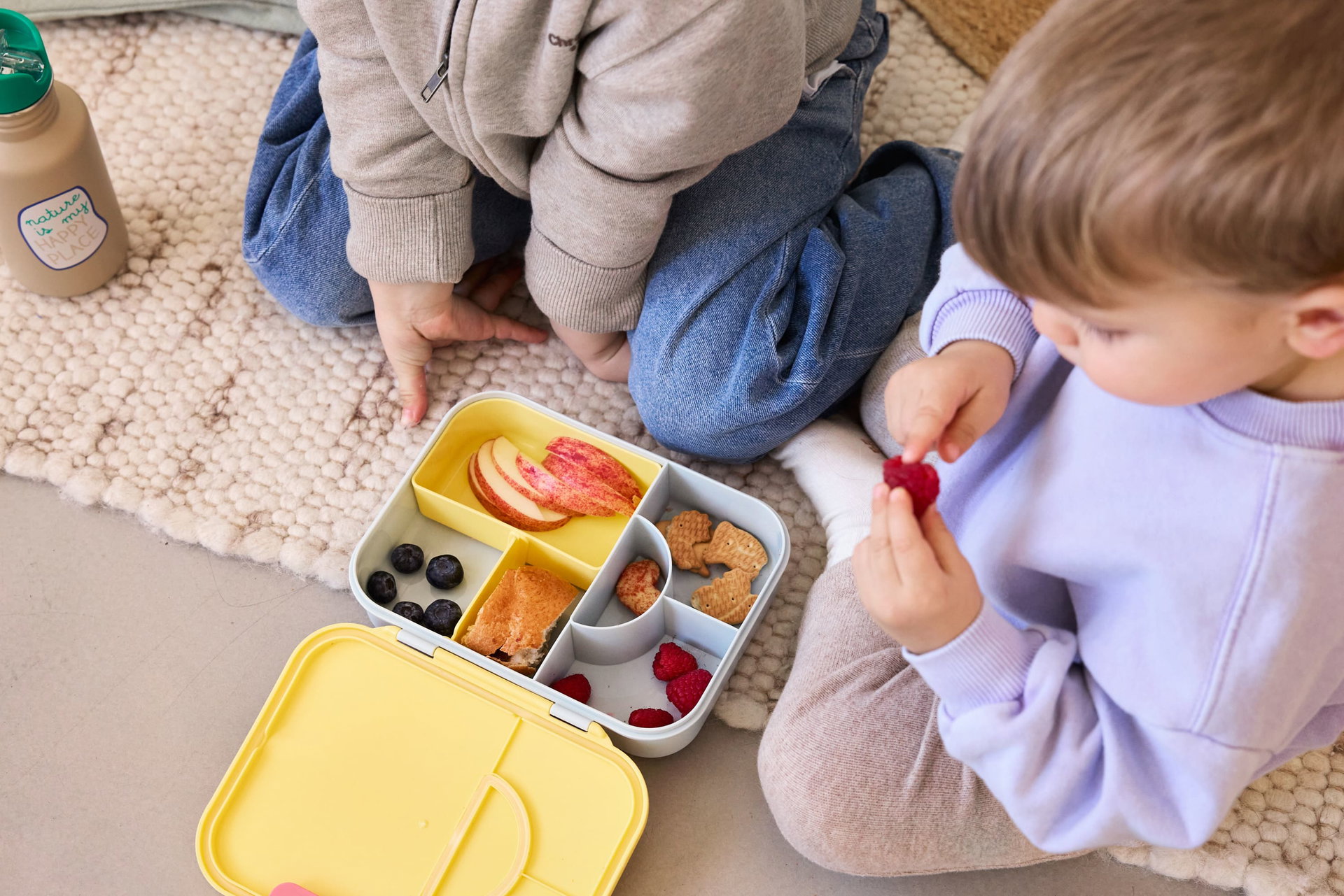 Lunchbox, Snack-behälter, Fruchtscheiben, Himbeeren, Blaubeeren