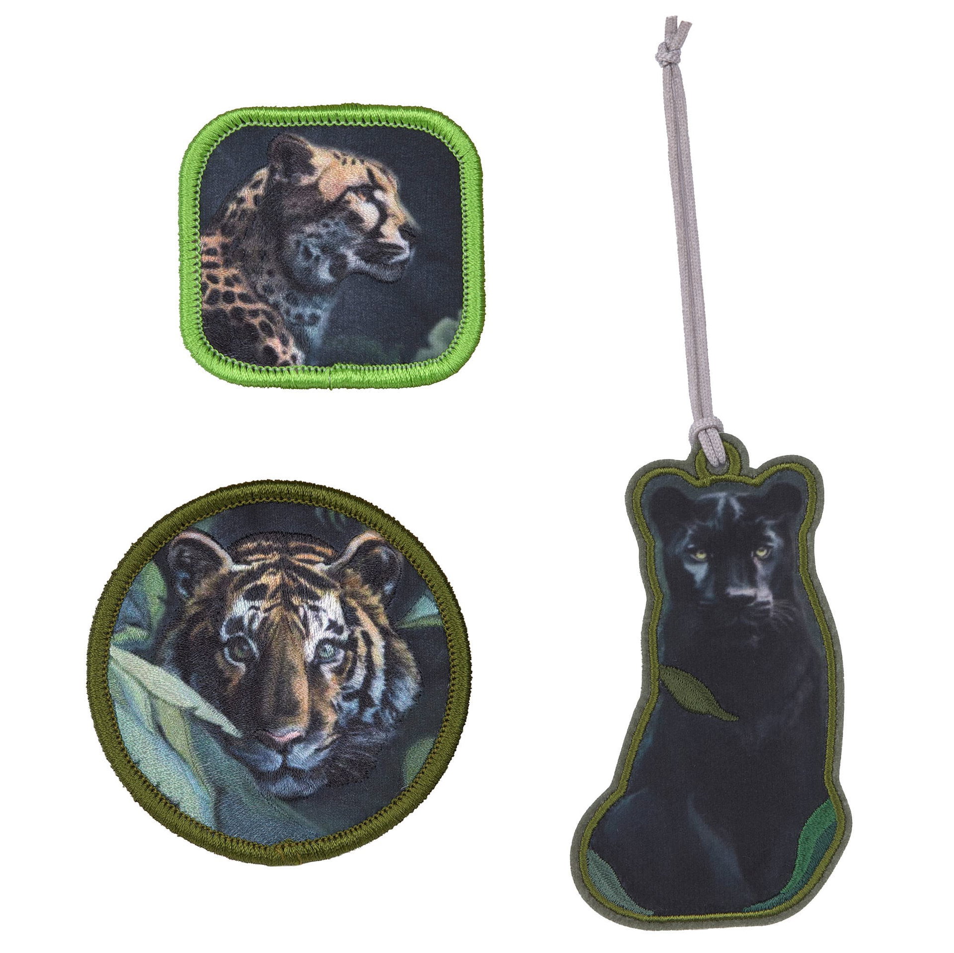 Tier, Säugetier, Tiger, Tierwelt