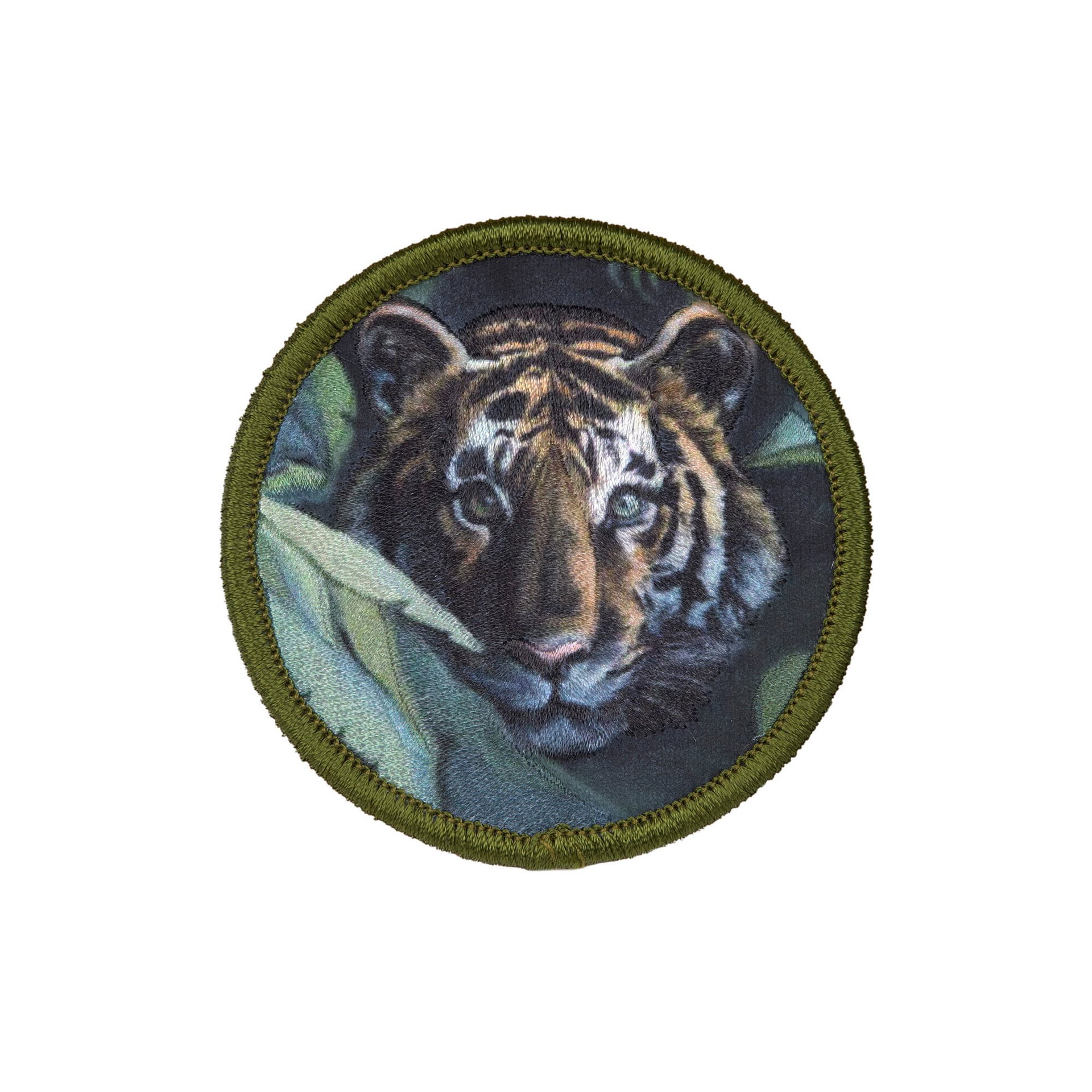 Tier, Säugetier, Tiger, Tierwelt