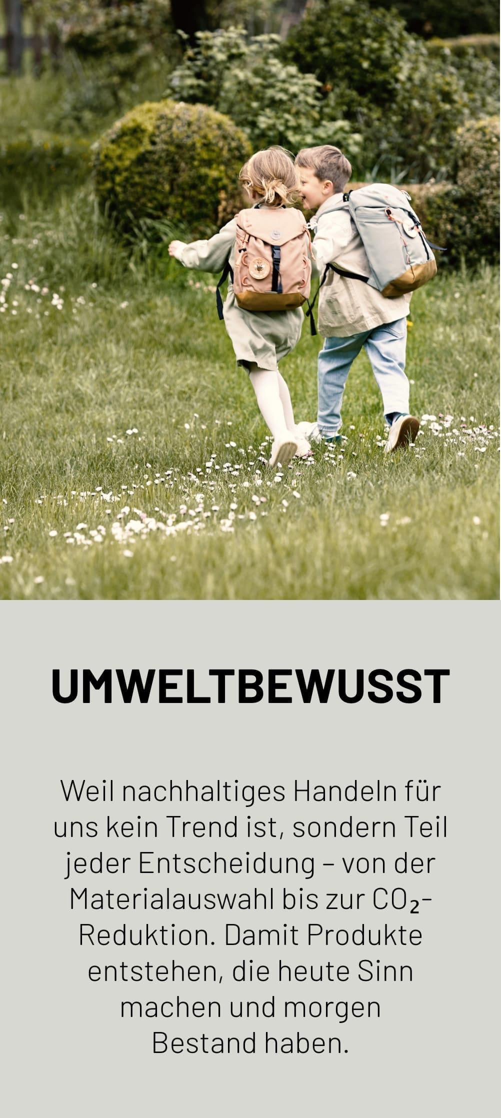 Gras, Bewuchs, Person, Gehen, Fotografieren