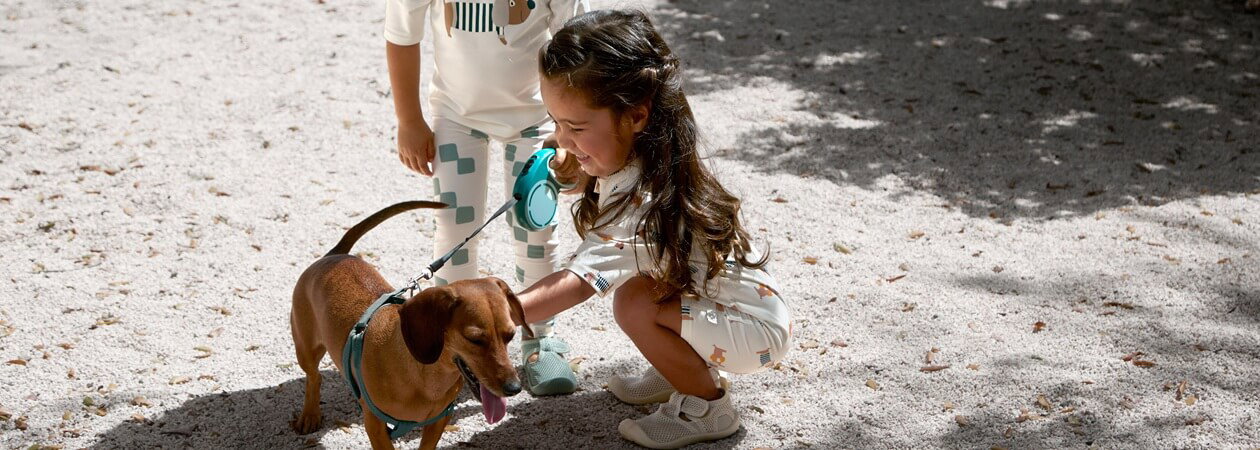 Hund, Leine, Halsband, Dackel, Pfade/Outdoor